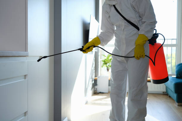 Best Mold Testing  in Corcoran, CA