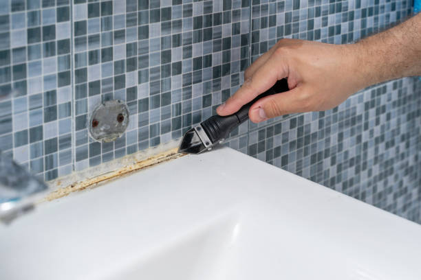 Best Mold Remediation Services  in Corcoran, CA