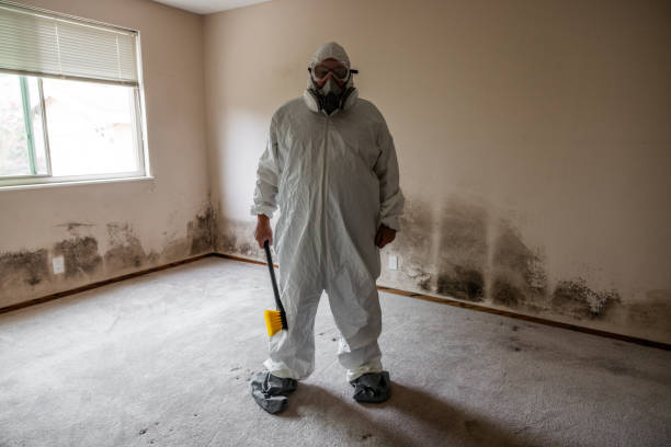 Best Toxic Mold Removal  in Corcoran, CA