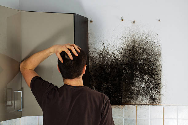 Best Office Mold Removal Services  in Corcoran, CA